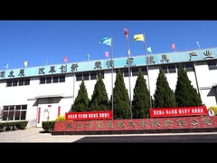 Πλαστικά μέρη σχηματοποίησης εγχύσεων